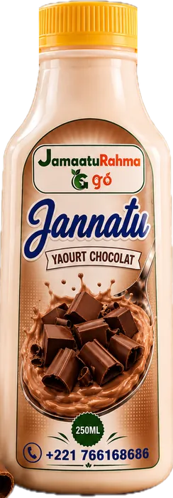 Yaourt Chocolat Jannatu — 250 ml